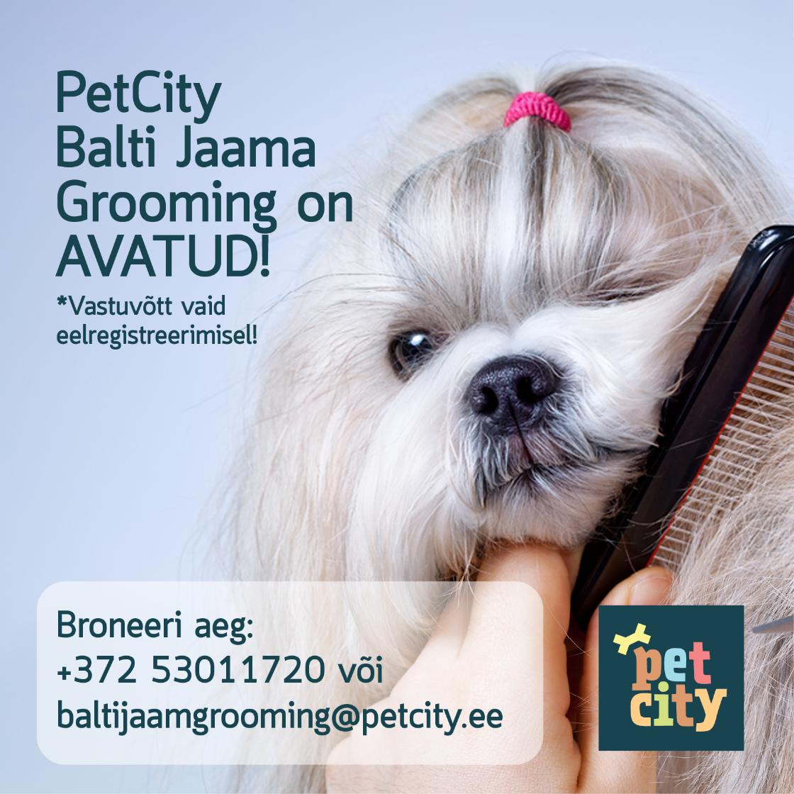 Balti jaama PetCitys nüüd Grooming - PetCity