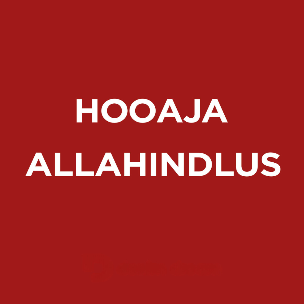 Hooajaline ALLAHINDLUS - Camel Active