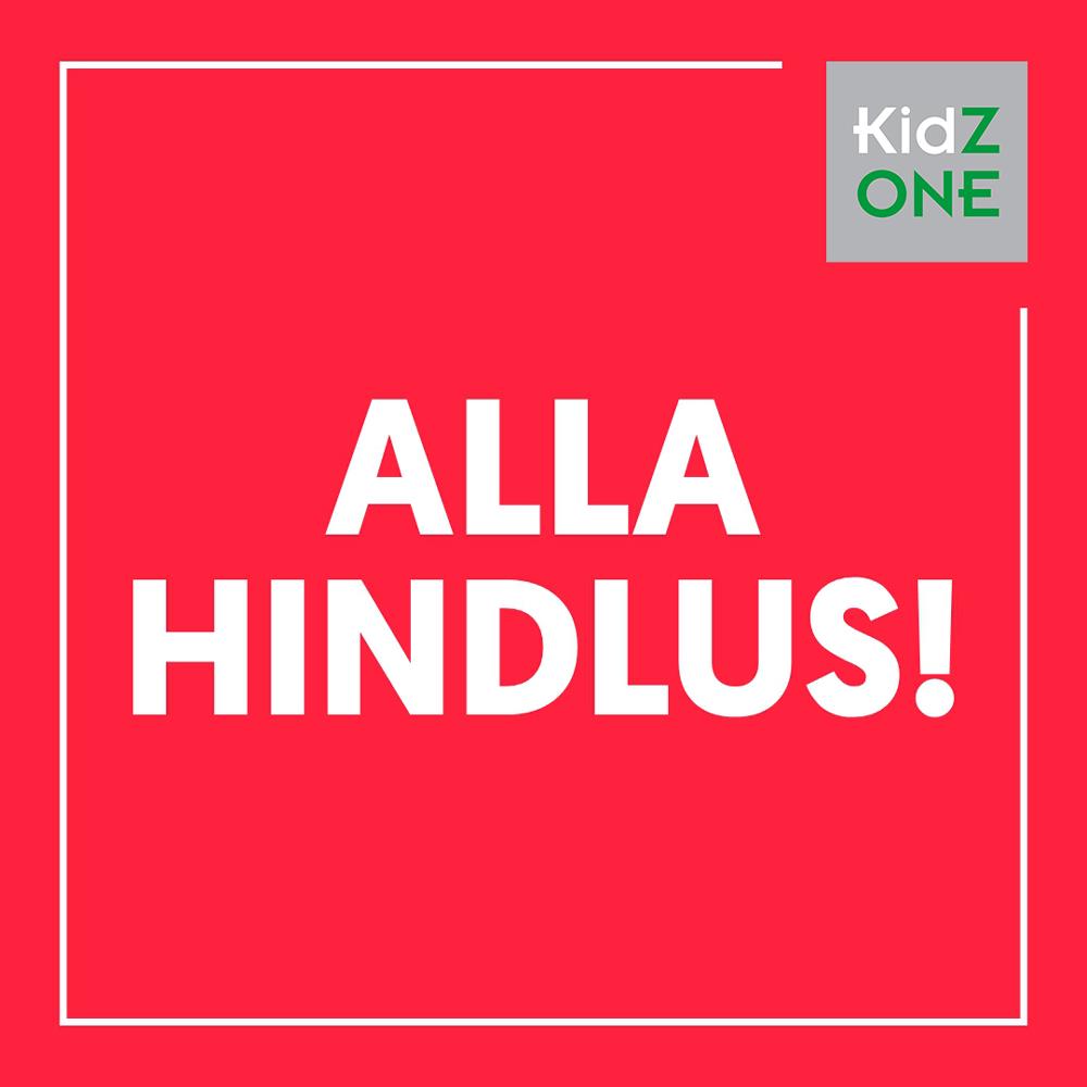 ALLAHINDLUS! - KidZone