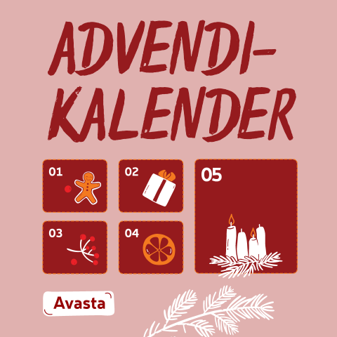 Advendikalender Rimis